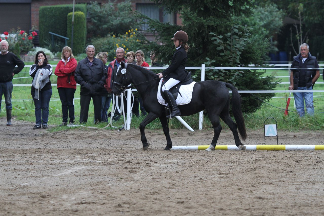 Bild 309 - WBO-Turnier am 18.9.11